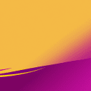 Why Translation Markets Look Different Around the World